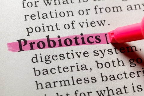 What are Prebiotics?