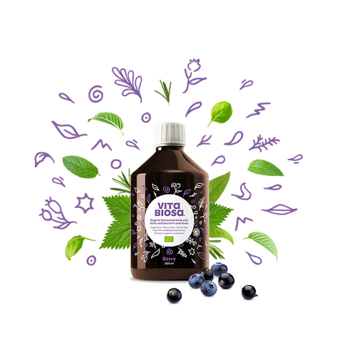 Vita Biosa Berry