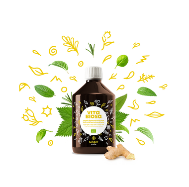 Vita Biosa Ginger