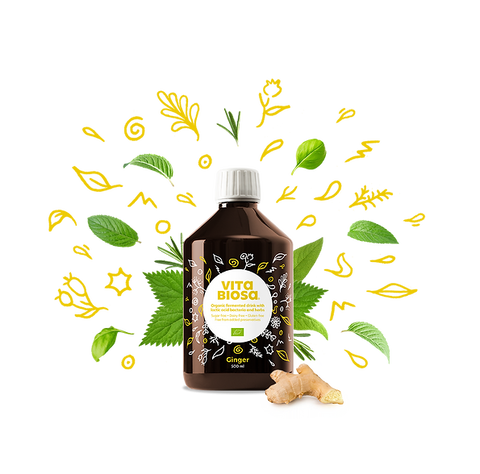 Vita Biosa Ginger