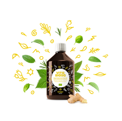 Vita Biosa Ginger